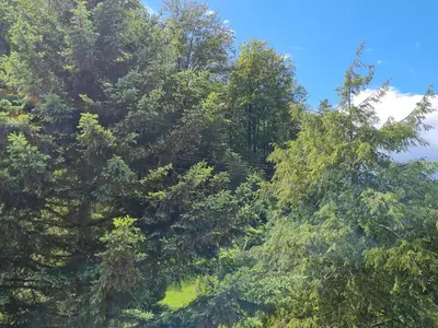 Naturlandschaft in der Nähe der Ferienwohnung