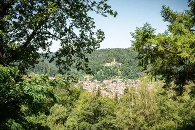 Naturlandschaft in der Nähe der Ferienwohnung