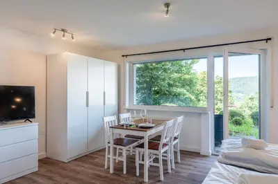 TV/Unterhaltungsangebot in der Unterkunft 1-Zimmerapartment Am Hochwald