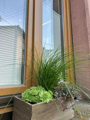 Ein Garten an der Unterkunft Ferienhaus Haisel Vier