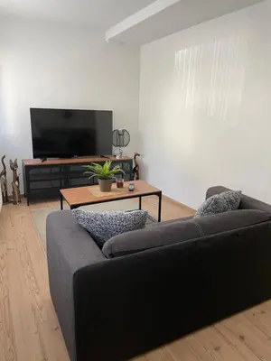 TV/Unterhaltungsangebot in der Unterkunft Charmante Wohnung in Burgnähe