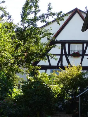 Ein Garten an der Unterkunft Ferienhaus 1534