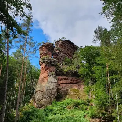 Naturlandschaft in der Nähe der Ferienwohnung