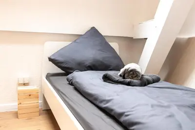 Ein Bett oder Betten in einem Zimmer der Unterkunft Zentral gelegene Unterkunft zB für Monteure in Sprendlingen 3 min vom Bahnhof entfernt