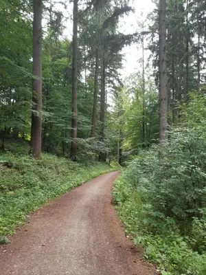 Naturlandschaft in der Nähe der Ferienwohnung