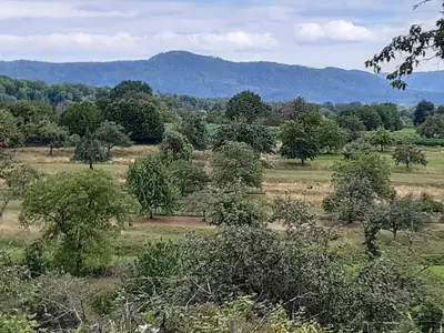 Naturlandschaft in der Nähe der Ferienwohnung