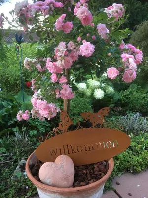 Ein Garten an der Unterkunft Ferienwohnung Helena