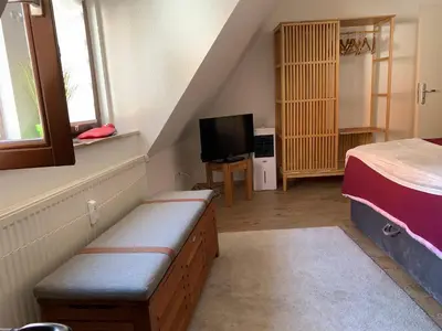 TV/Unterhaltungsangebot in der Unterkunft Apartment am historischen Rathaus