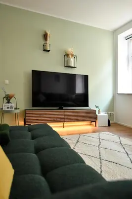 TV/Unterhaltungsangebot in der Unterkunft Ferienloft 'Weinstube Fridrich'