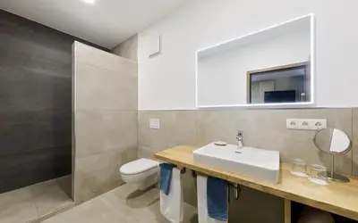 Ein Badezimmer in der Unterkunft Die Alte Schmelz