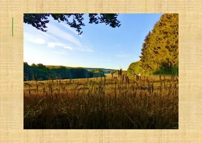 Naturlandschaft in der Nähe des Gasthauses