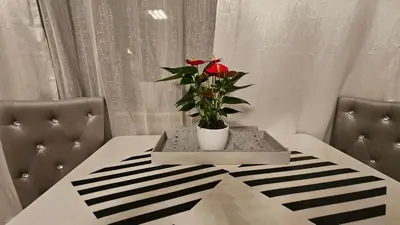 Grundriss der Unterkunft Ferienwohnung Bad Bergzabern