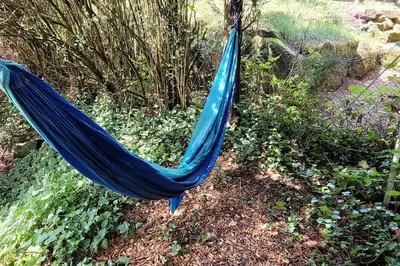 Ein Garten an der Unterkunft FeWo in Heddesbach