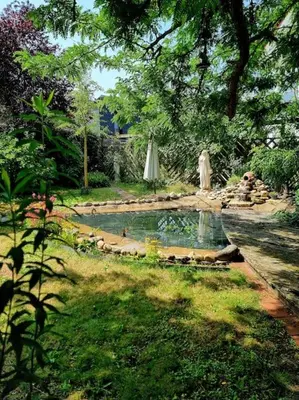 Naturlandschaft in der Nähe der Ferienwohnung