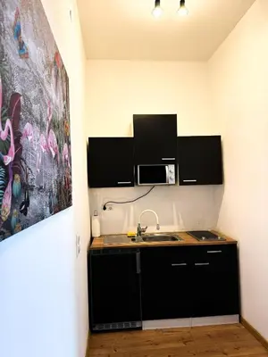 Küche/Küchenzeile in der Unterkunft 2 ZKB Apartement in Mannheim Buga - Küche - Parken