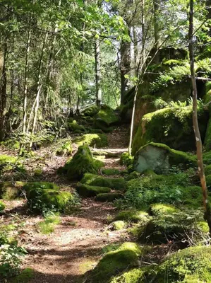 Naturlandschaft in der Nähe der Ferienwohnung