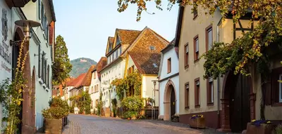 Die Umgebung um das Hotel