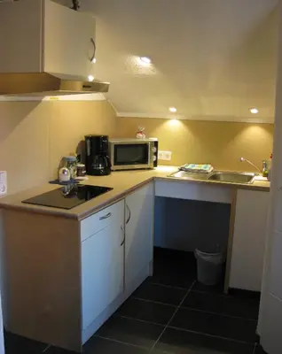 Küche/Küchenzeile in der Unterkunft Eva und Wolf Apartments
