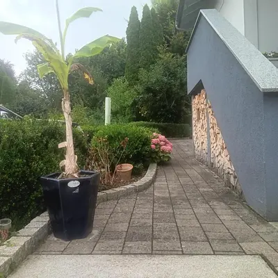 Ein Garten an der Unterkunft Weingut Jürgen - Lutz