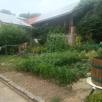 Ein Garten an der Unterkunft Weingut Jürgen - Lutz