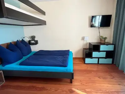 TV/Unterhaltungsangebot in der Unterkunft City Chillout Heidelberg Appartement with Sauna & Pool