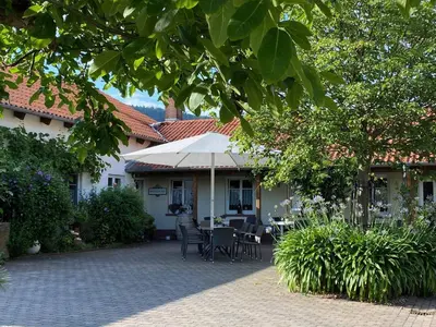 Ein Garten an der Unterkunft Ferienwohnung Weingut Sturm