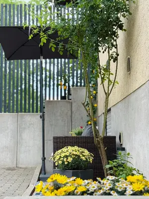 Ein Garten an der Unterkunft Neu renovierte Ferienwohnung mit Terrasse & schnellem WLAN im Odenwald