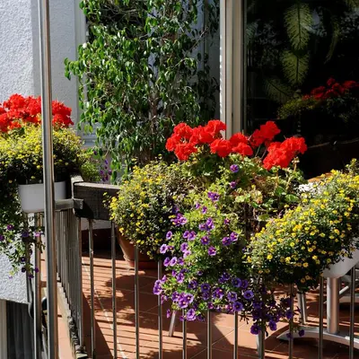 Ein Garten an der Unterkunft Hotel Ortel GmbH
