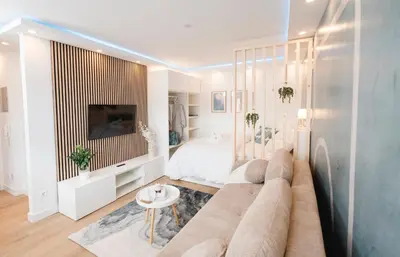 TV/Unterhaltungsangebot in der Unterkunft BellaBene modernes Studioapartment in zentraler Lage mit Balkon, Arbeitsplatz, Parkplatz