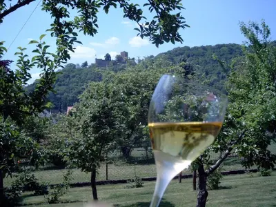 Naturlandschaft in der Nähe des Ferienhauses