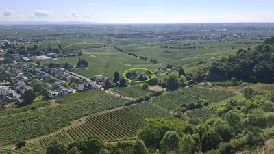 Naturlandschaft in der Nähe der Ferienwohnung