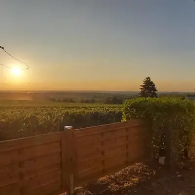 Wohnung in den Weinbergen
