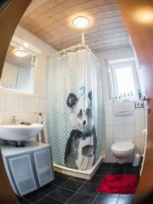 Ein Badezimmer in der Unterkunft Romantische Ferienwohnung
