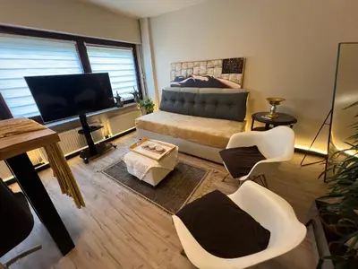 TV/Unterhaltungsangebot in der Unterkunft Budahome im Schwarzwald