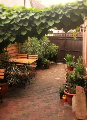 Ein Garten an der Unterkunft Pension Zur Schlummerstube