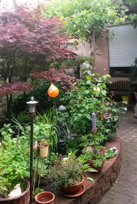 Ein Garten an der Unterkunft Pension Zur Schlummerstube