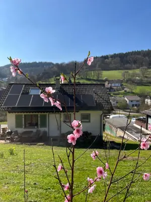 Naturlandschaft in der Nähe des Ferienhauses