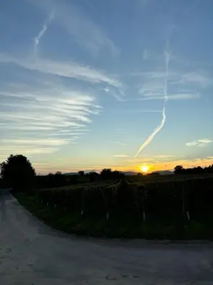 Blick auf den Sonnenuntergang/Sonnenaufgang von der Ferienwohnung aus oder aus der Nähe