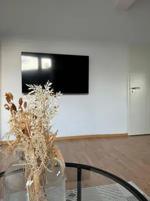 TV/Unterhaltungsangebot in der Unterkunft Family and Business Apartments Mannheim Three