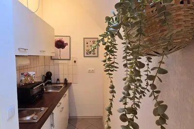 Küche/Küchenzeile in der Unterkunft Appartment Mutterstadt Oase - MIS