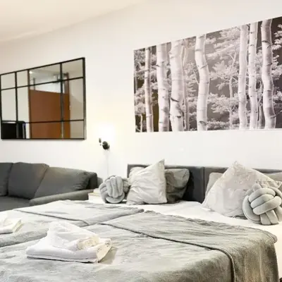 modern living in Karlsruhe - frieden apartments