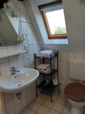 Ein Badezimmer in der Unterkunft Ferienwohnungen Haus Ruth