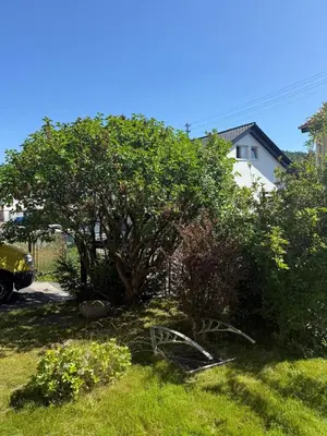 Ein Garten an der Unterkunft Monteur- und Ferienunterkunft Wilhelmsfeld & Heidelberg
