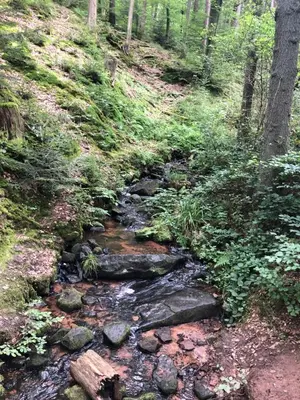 Naturlandschaft in der Nähe der Ferienwohnung
