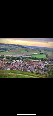 Blick auf Erlenbach Ortsrand am Kayberg aus der Vogelperspektive