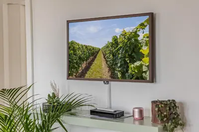 TV/Unterhaltungsangebot in der Unterkunft Bei Deidesheim - Charmante FEWO mit Fahrradgarage und Terrasse