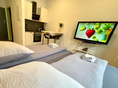 Küche/Küchenzeile in der Unterkunft Goldstadt White Suite - City Apartament Schlössle Pforzheim