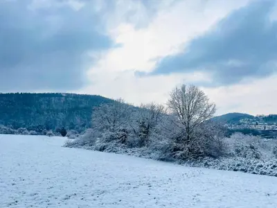 Ein Traum am Waldrand im Winter