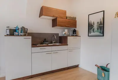 Küche/Küchenzeile in der Unterkunft MAINTERRASSE Boardinghouse am Fluss klimatisierte Apartments mit 80qm Terrasse