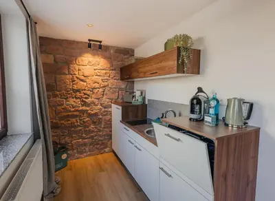 Küche/Küchenzeile in der Unterkunft MAINTERRASSE Boardinghouse am Fluss klimatisierte Apartments mit 80qm Terrasse